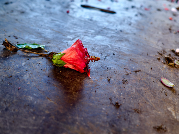 03-Pc16-2021-07-10 12.17.05